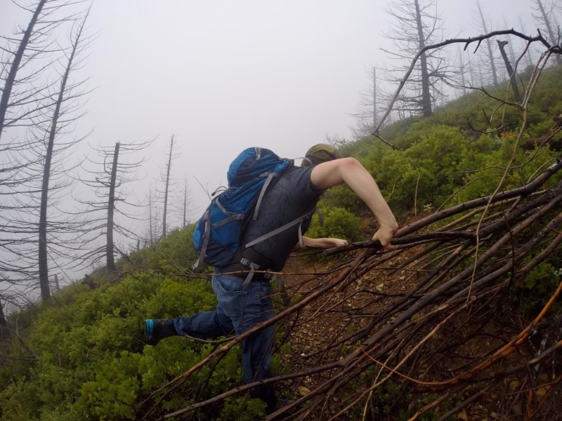 Mt. Bolivar is a rarely visited peak in Oregon's Coast Range. It's technically the tallest, but Mary's Peak gets more attention and visitors.