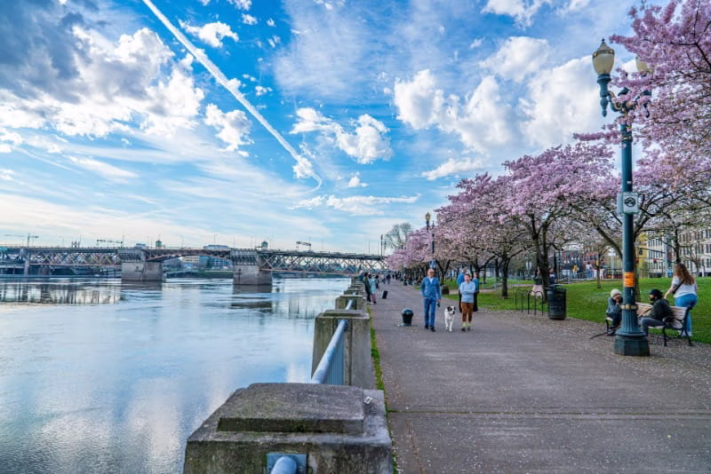 running portland waterfront