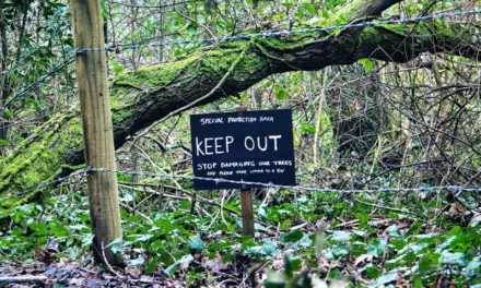 Outdoor Gatekeeping Is Not Conservation