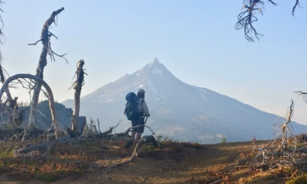 7 Books Like Wild: Hiking Memoirs and True Stories Worth Reading Next